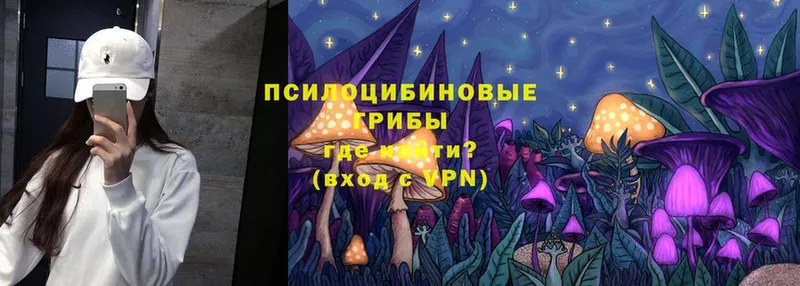 Галлюциногенные грибы Psilocybe  omg сайт  Качканар 